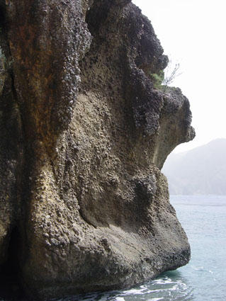 父島写真08-18