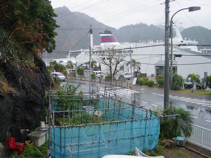 父島写真14-05