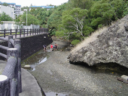 父島写真14-19