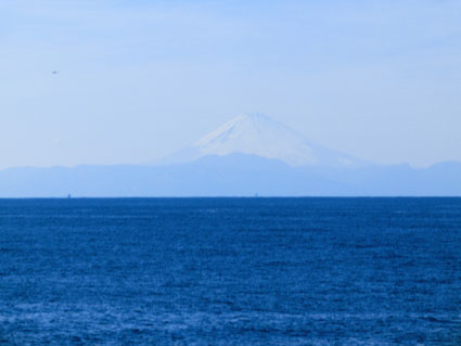 父島写真15-28