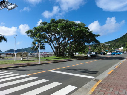 父島写真16-22