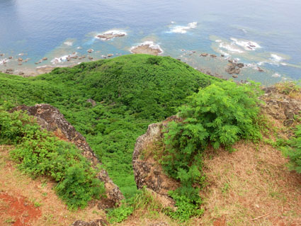 父島写真20-60